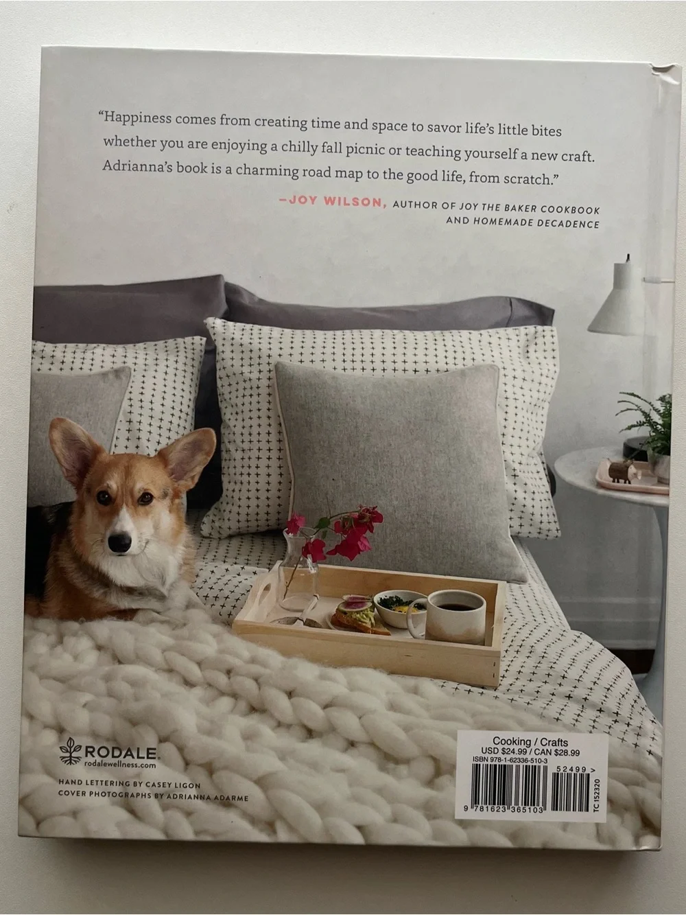 The Year of Cozy & A Cozy Coloring Cookbook - Adrianna Adarme Book Bundle